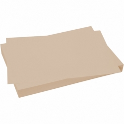 Karton, A4, 180 g, beige, 100 ark/ 1 pk. 0